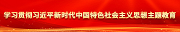 美女18岁黄逼逼学习贯彻习近平新时代中国特色社会主义思想主题教育